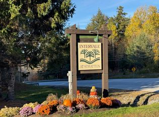 11 Pond View Rd, Bondville, VT 05340