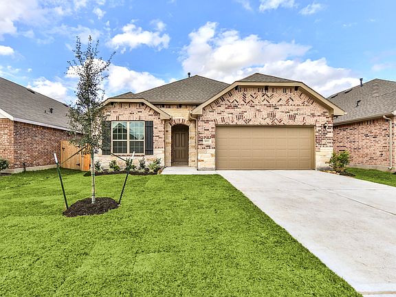 Olive with Elevation T