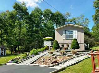 103 Lily Pond Rd, Parksville, NY 12768