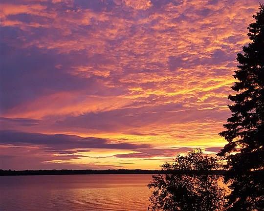 5th image of 3773 N East Torch Lake Dr