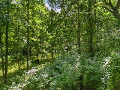 1 Ledgewood Dr, Fenton, MI, 48430