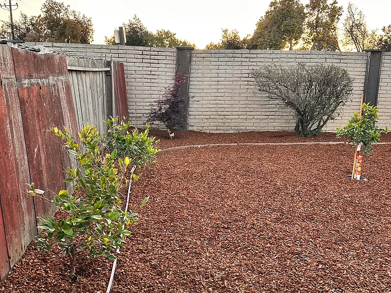 Backyard with fruit trees
