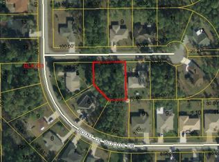 4 Pointing Pl, Palm Coast, FL 32164