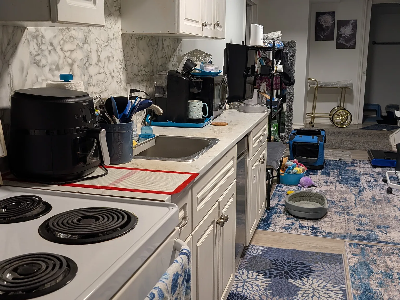 1 bed, 600 sqft, $1,300 — Photo 3
