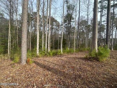 1007 Parchment Bluff, New Bern, NC, 28562