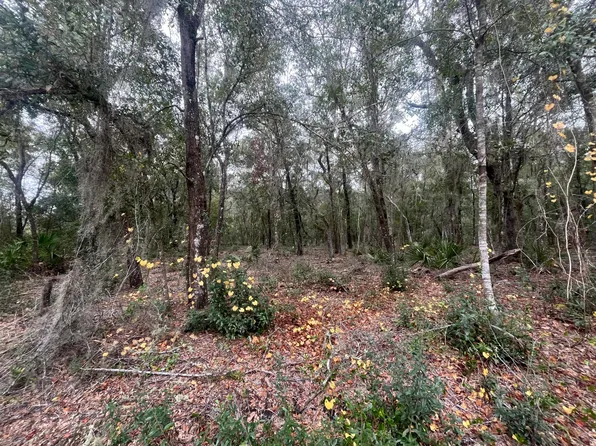 0 Pat Avenue, Interlachen, FL 32148