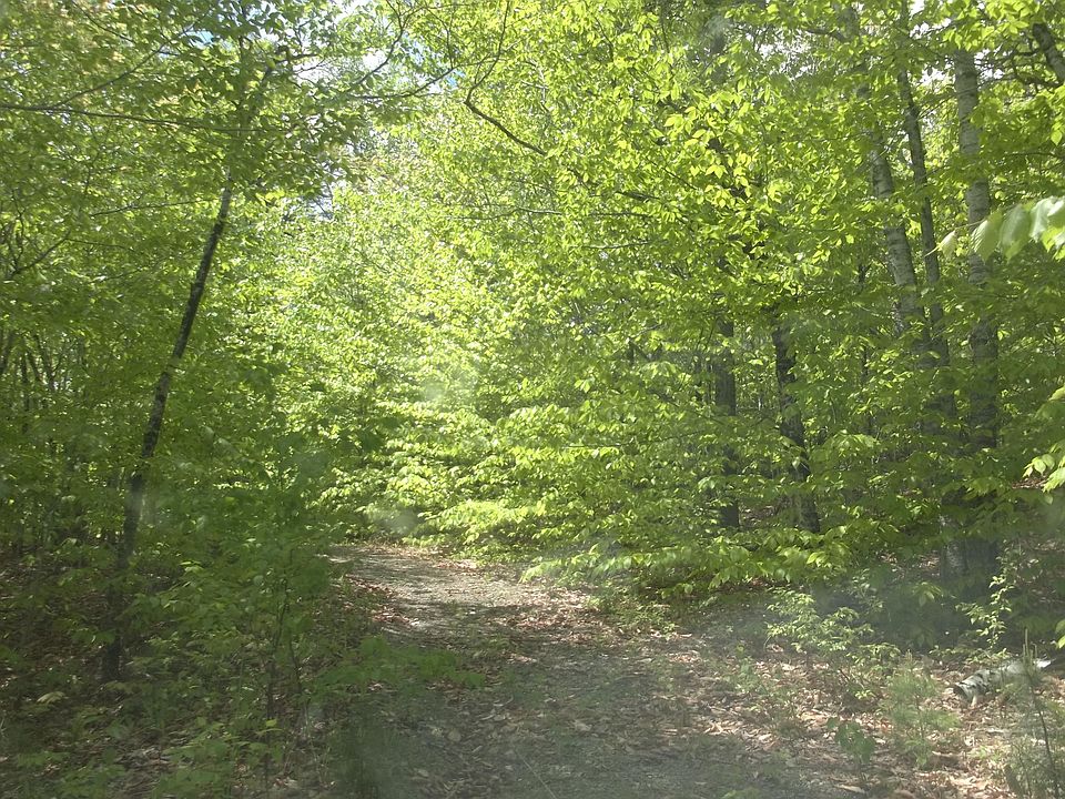 2nd image of lot 28 woodland Road