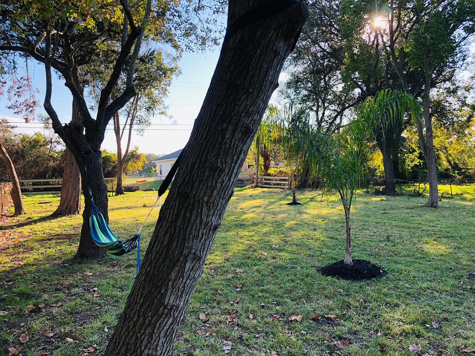 3 bed, 1200 sqft, $1,500 — Photo 4