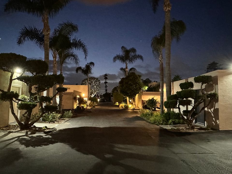 The view from the back of the property looking toward Eaton Street (your view from the kitchen/dining area of #26)