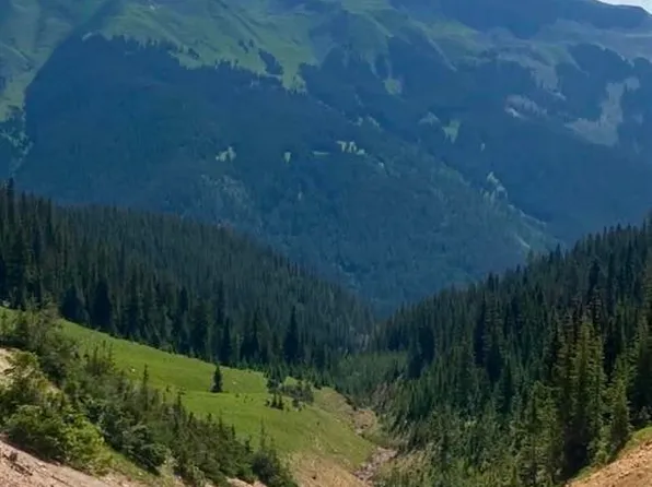 TBD CR 110, Silverton, CO 81433