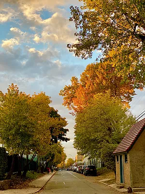 Rented by Owner | media 11