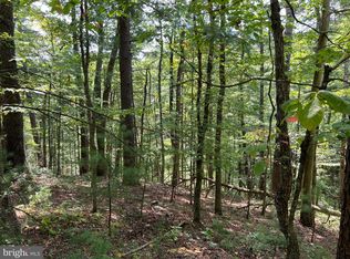 0 Spruce Ln, Mount Jackson, VA 22842