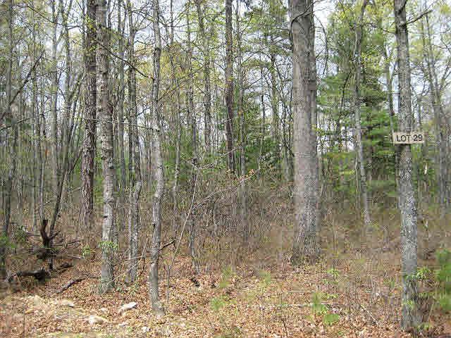 2nd image of Birds Nest Rd Lot 29