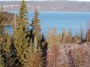 L20 Pomeroy Rd, Homer, AK 99603