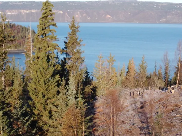 L20 Pomeroy Rd, Homer, AK 99603