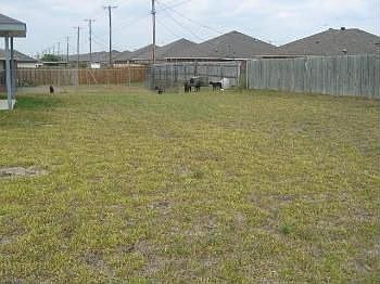 4th image of 4200 Hondo Dr