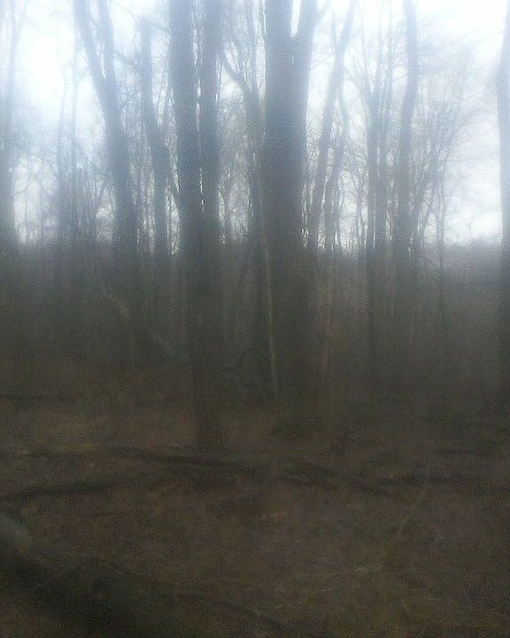 1st image of 258 Friendly Acre