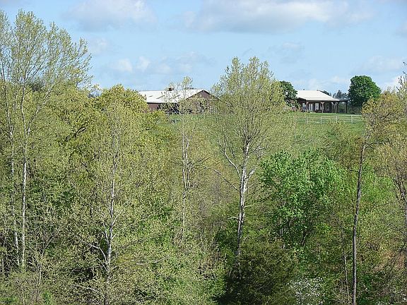 2nd image of 178 War Pony Ln