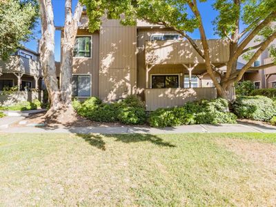 195 Del Monte Ln, Morgan Hill, CA, 95037