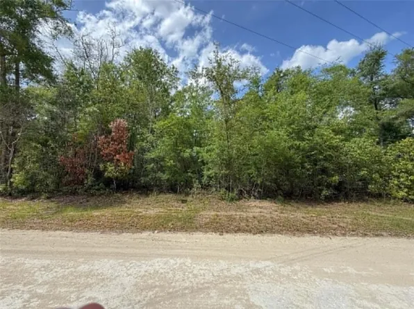 282nd Ter Lot 10, Branford, FL 32008