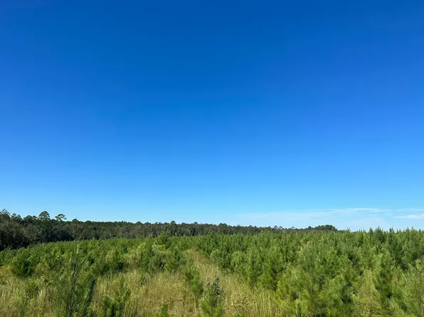 PARCEL D2 Millside Rd, Laurel Hill, FL 32567