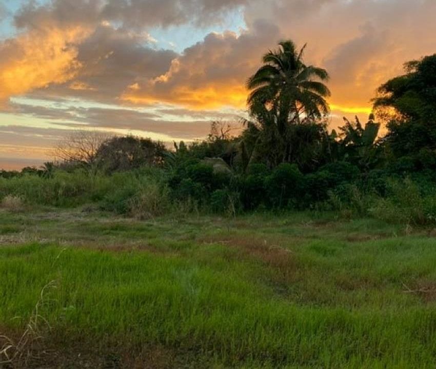 1st image of 1580 Lower Nahiku Rd