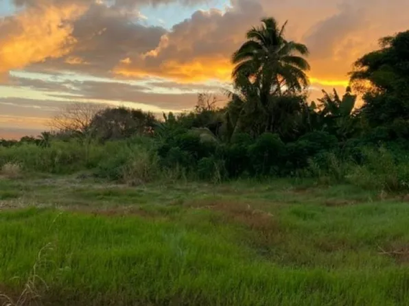 1580 Lower Nahiku Rd, Hana, HI 96713