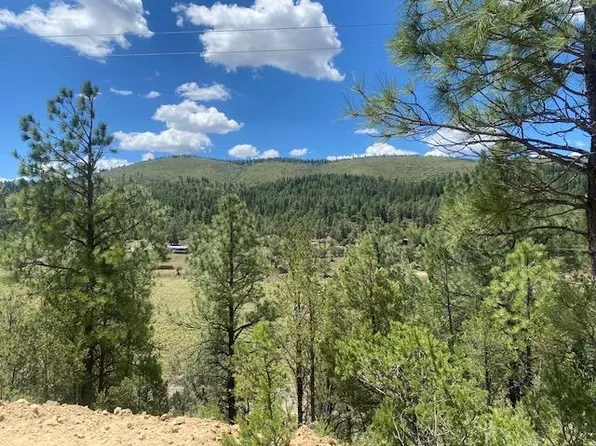 LOT 40 40a Hwy #82, Mayhill, NM 88339