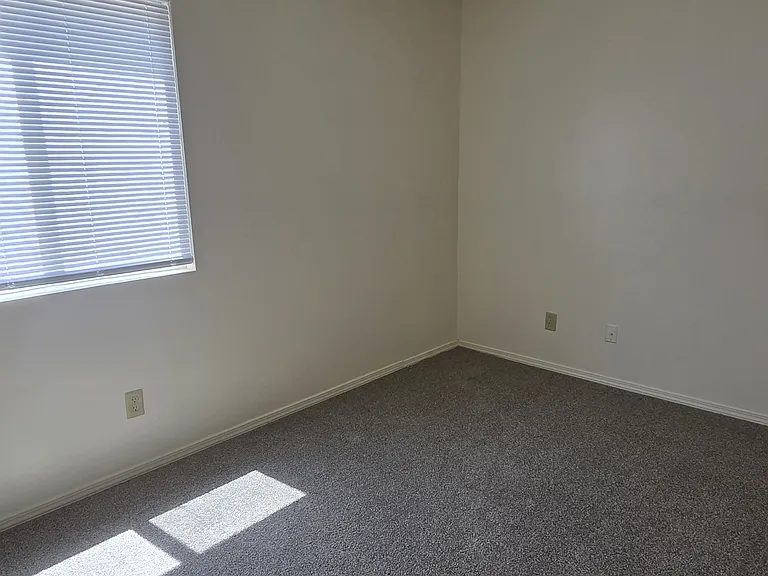 Well-lit bedroom with new carpet, fresh paint, and a large window bringing in afternoon sun.