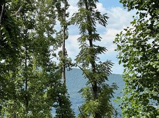 Blankenship Mountain Rd, Narrows, VA 24124