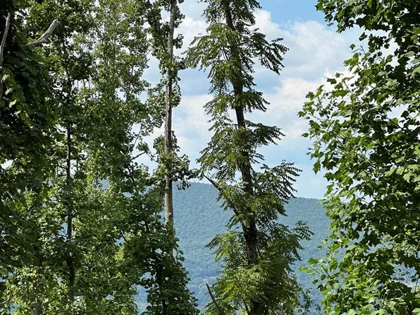 Blankenship Mountain Rd, Narrows, VA 24124