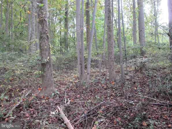 0 Forgedale Rd, Barto, PA 19504
