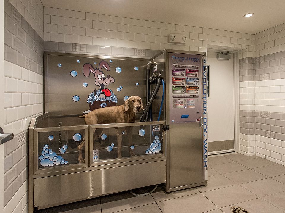 Pet Spa