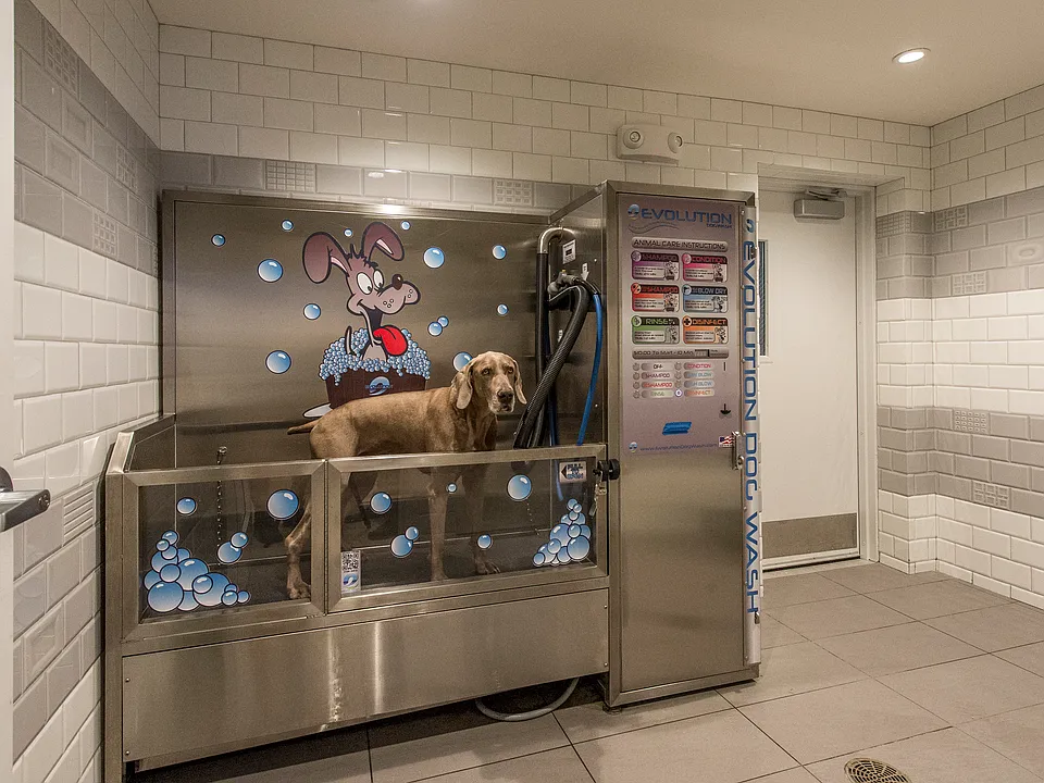Pet Spa