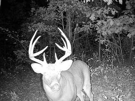 3rd image of 25847 Pendleton Forest Rd