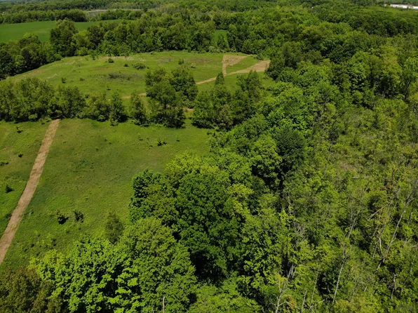 Dutch Settlement Rd, Marcellus, MI 49067