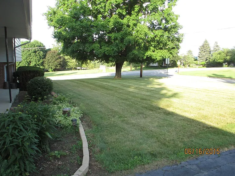 Front Yard