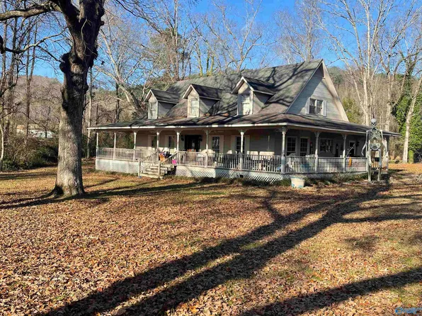 3665 Us Highway 11 S, Attalla, AL 35954