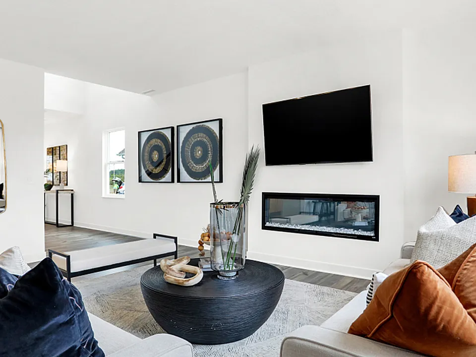 Living Area / Great Room