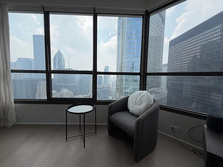 405 N Wabash Ave #4704 — Photo 10
