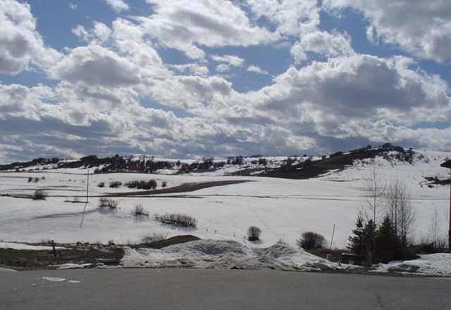 Silver Spur Estates