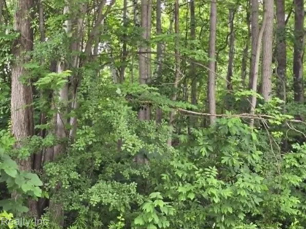 Vl N Lewis Rd, Clio, MI 48420