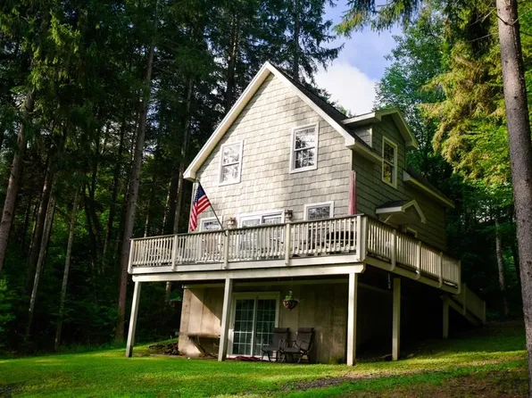 0 Columbia Lake Rd W, Deposit, NY 13754