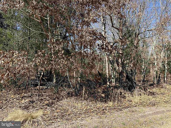 4th image of 51-57 8th St