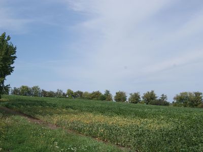 10 Highway, Brillion, WI, 54110