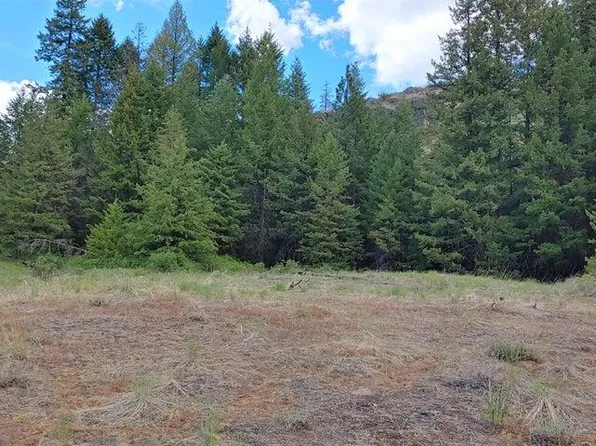 Stacy Rd Lot 257, Republic, WA 99166
