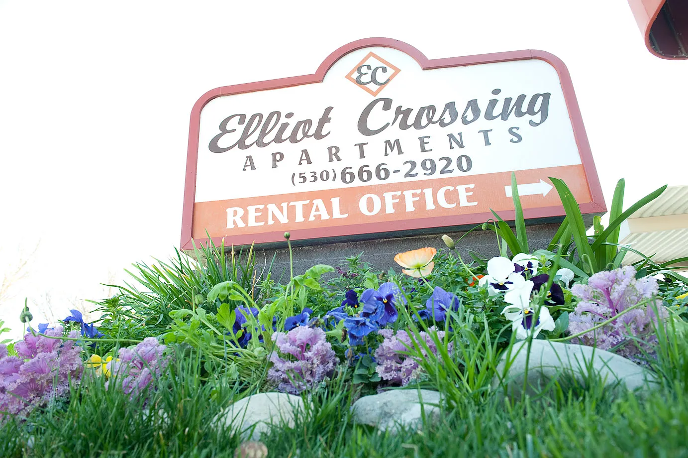 Elliot Crossing — Photo 2