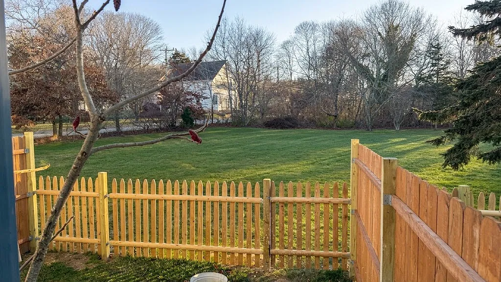 Private Backyard