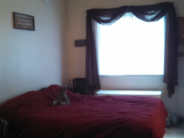 333 Oxford St — Photo 15