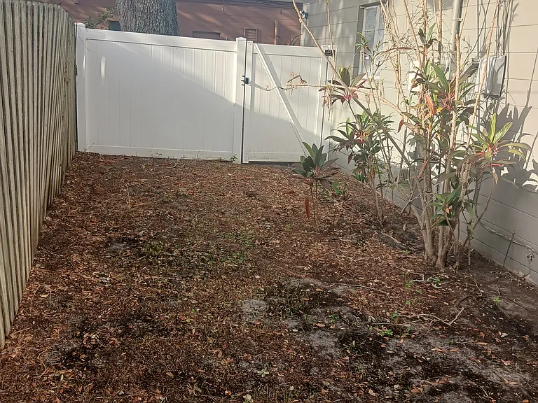 East side of backyard.